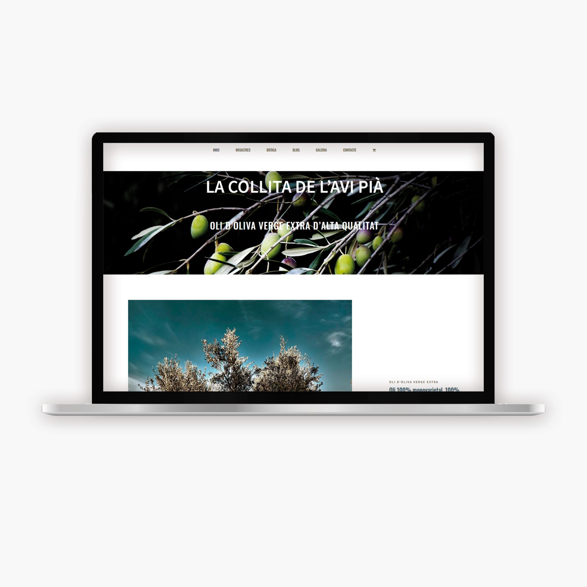 mockup_WEBS_COLLITAAVIPIAQ
