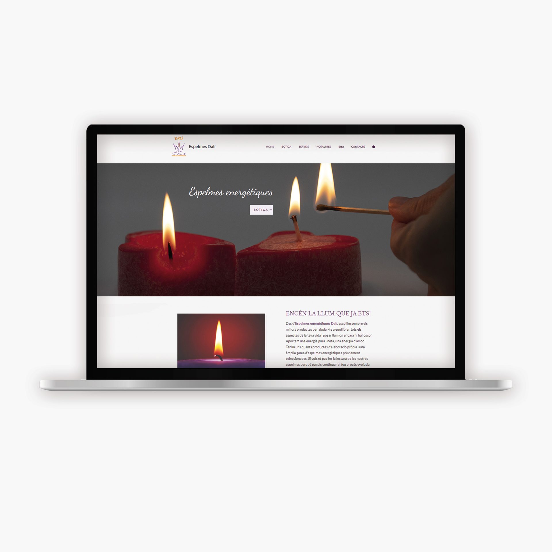 mockup_WEBS_ESPELMESDALIQ