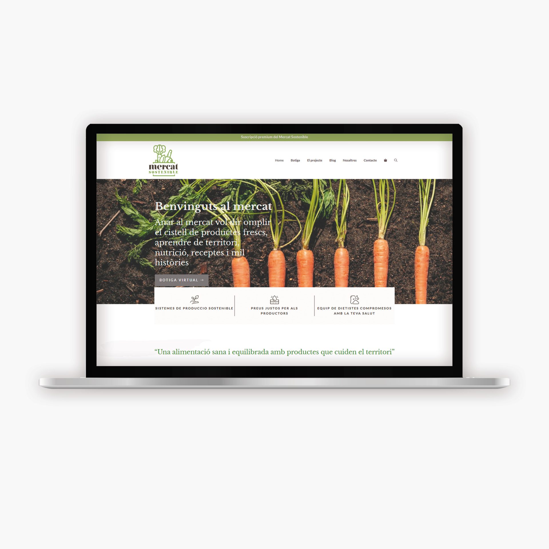 mockup_WEBS_MERCATSOSQ