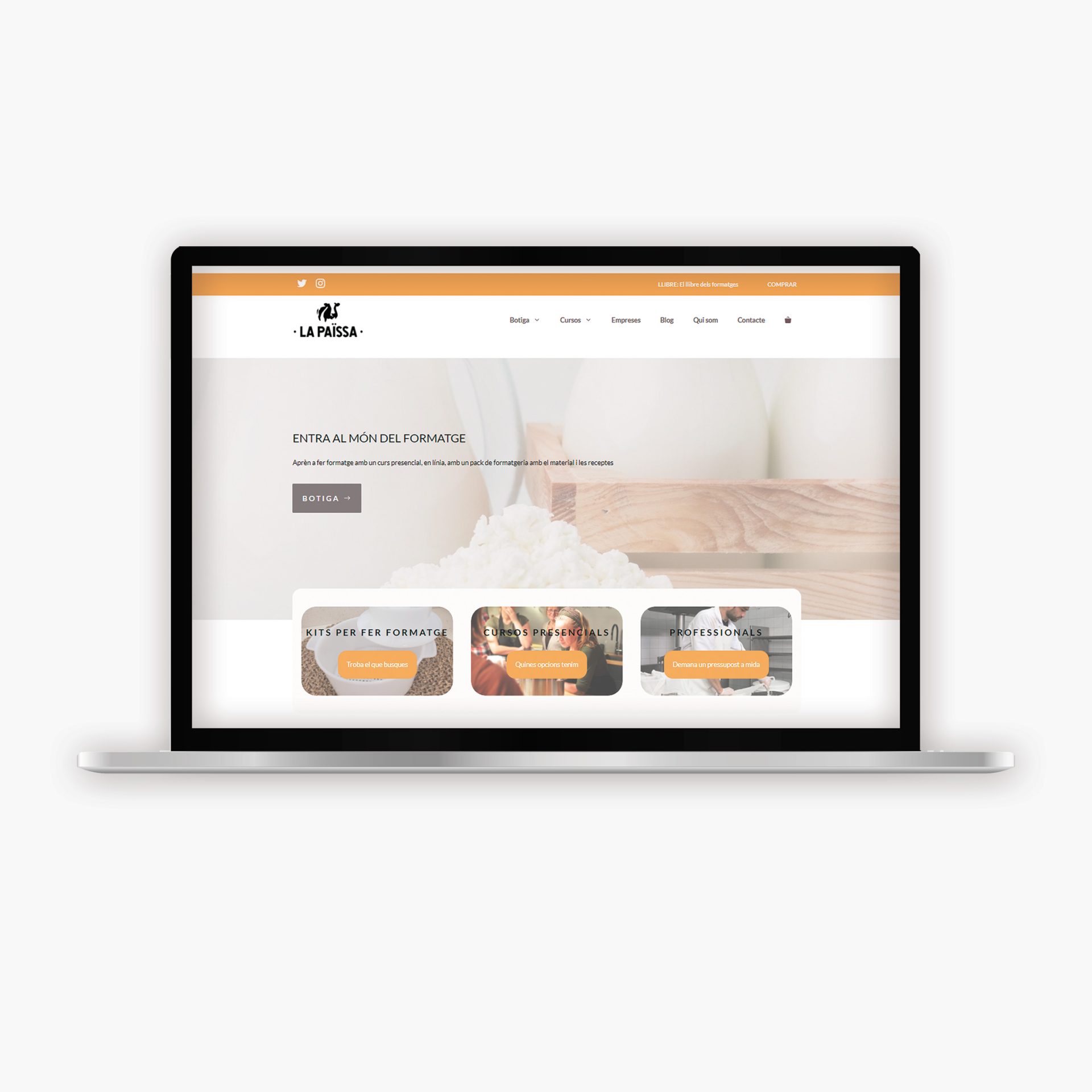 mockup_WEBS_PAISSACOM