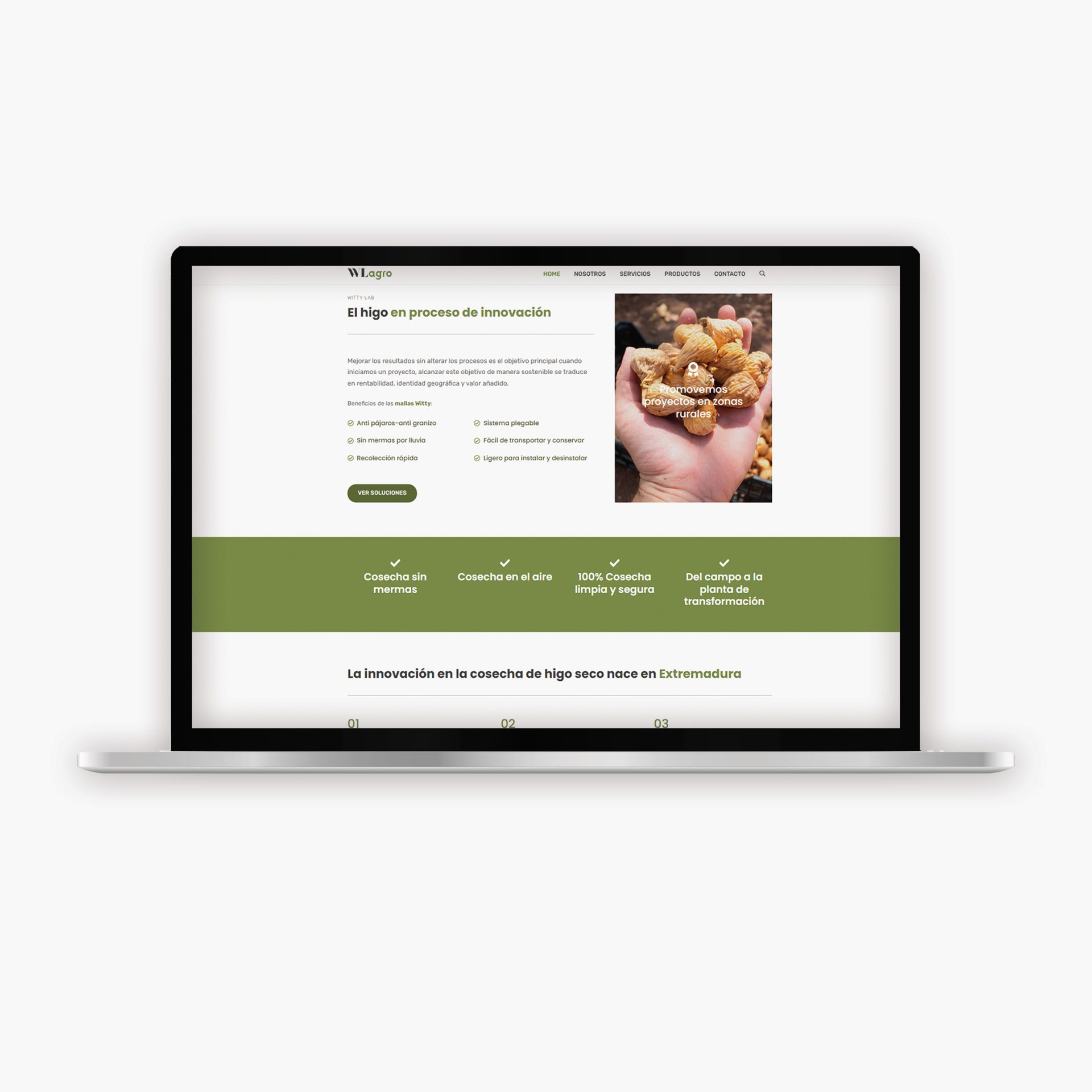 mockup_WEBS_WLAGROQ